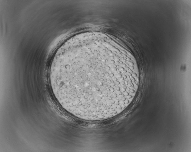 X0000114530149200911301146