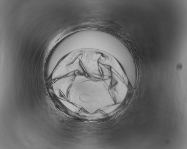 X0000114530150200911301146