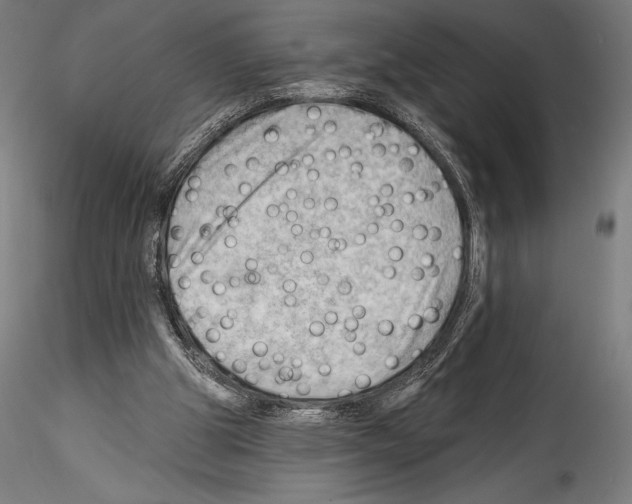 X0000114530153200911301146