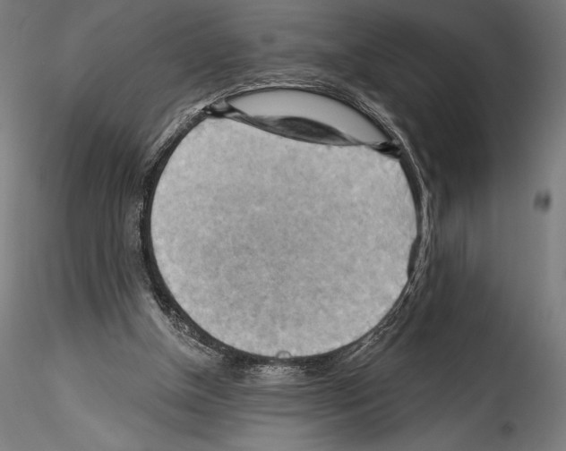 X0000114530154200911301146