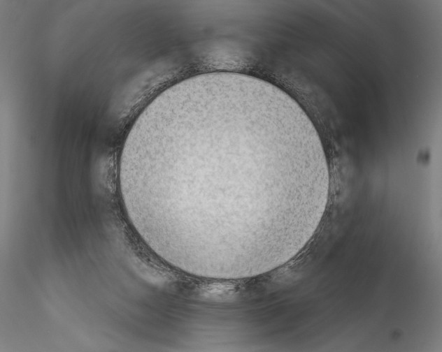 X0000114530162200911301146