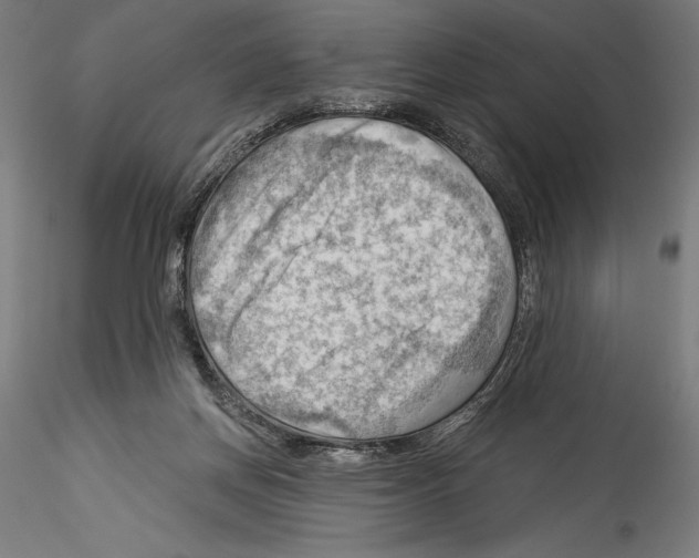 X0000114530166200911301146