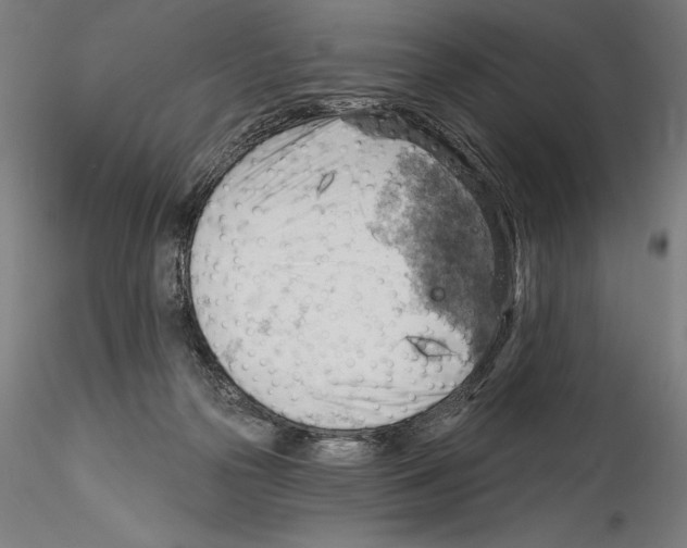 X0000114530169200911301146