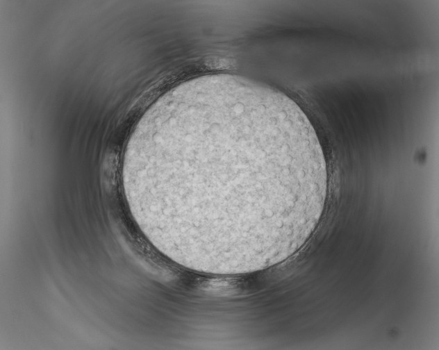 X0000114530171200911301146