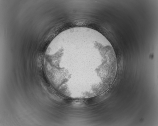 X0000114530175200911301147