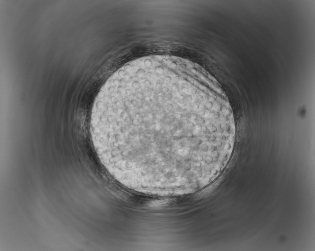 X0000114530178200911301147