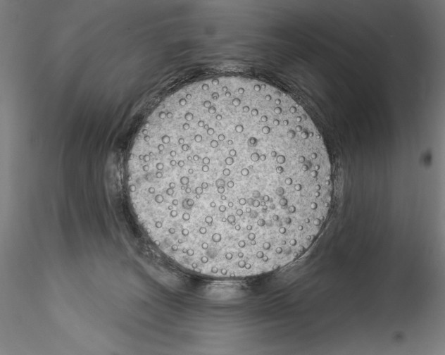 X0000114530179200911301147