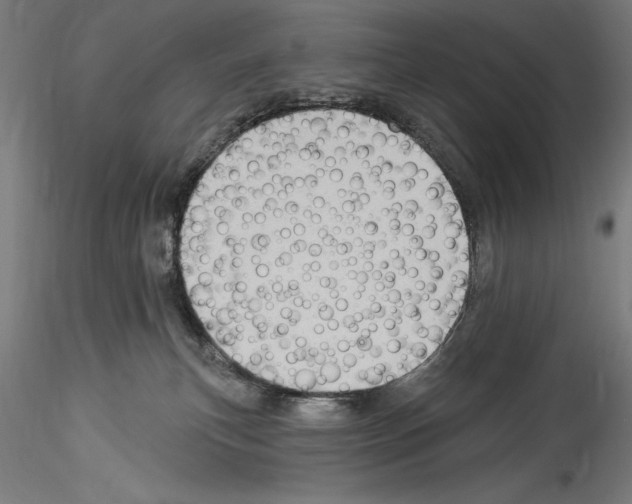 X0000114530183200911301147