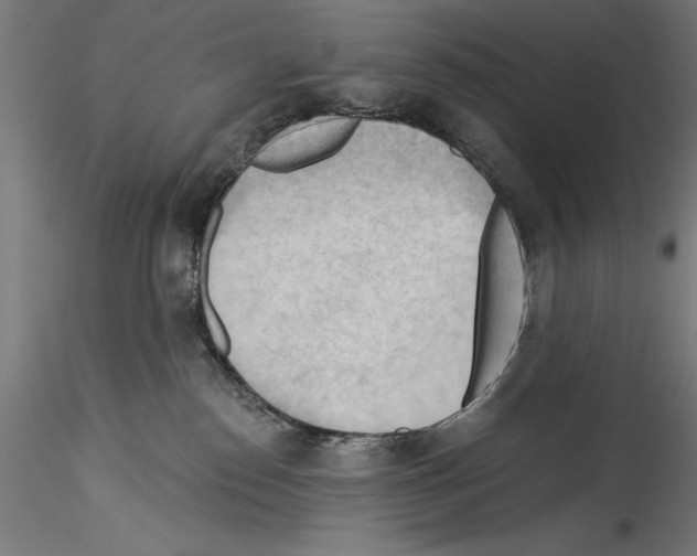 X0000114530186200911301147