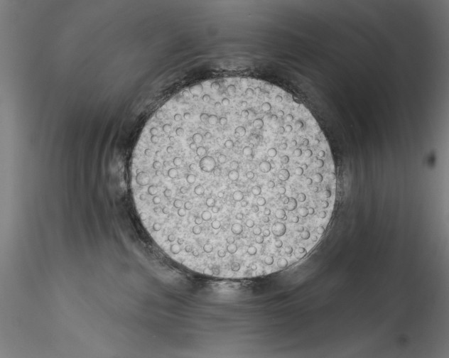 X0000114530187200911301147