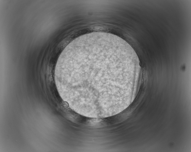 X0000114530189200911301147