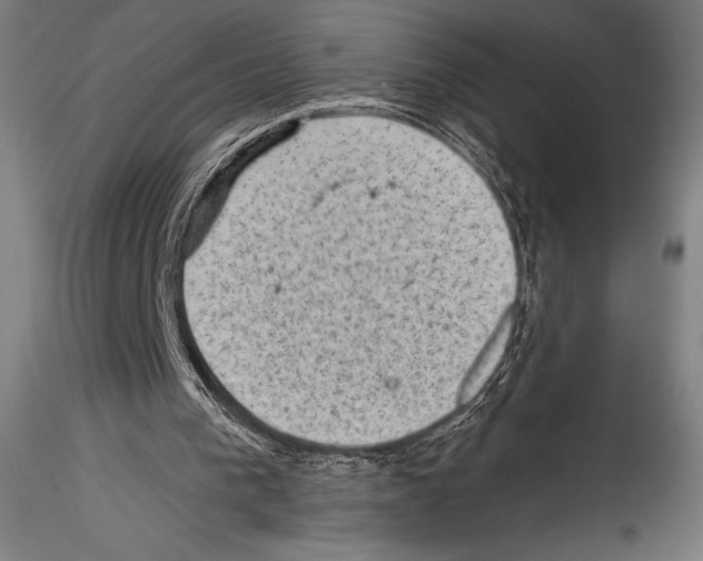 X0000114530193200911301146