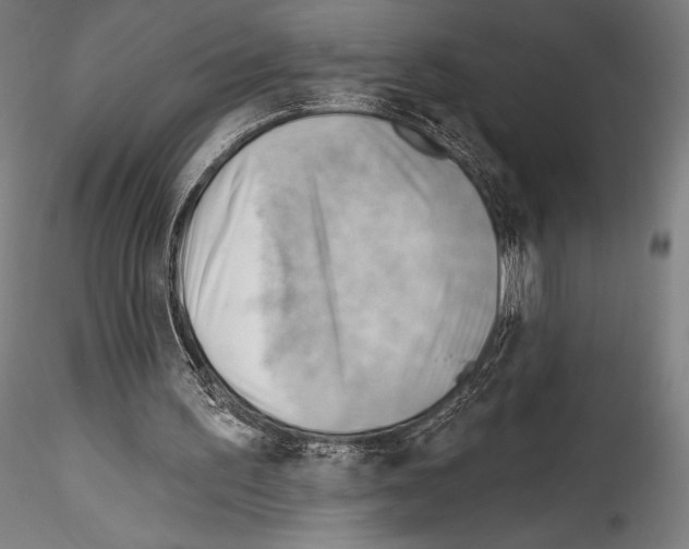 X0000114530195200911301146