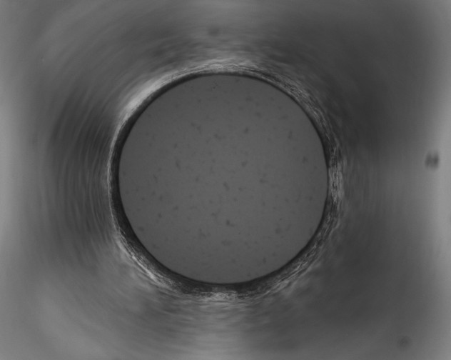 X0000114530196200911301146