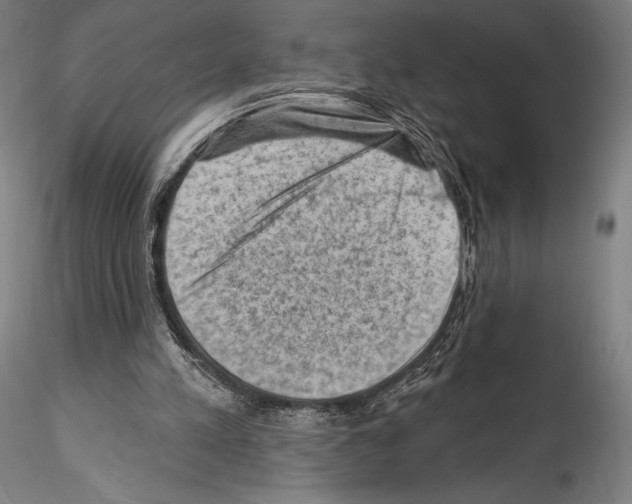 X0000114530197200911301146