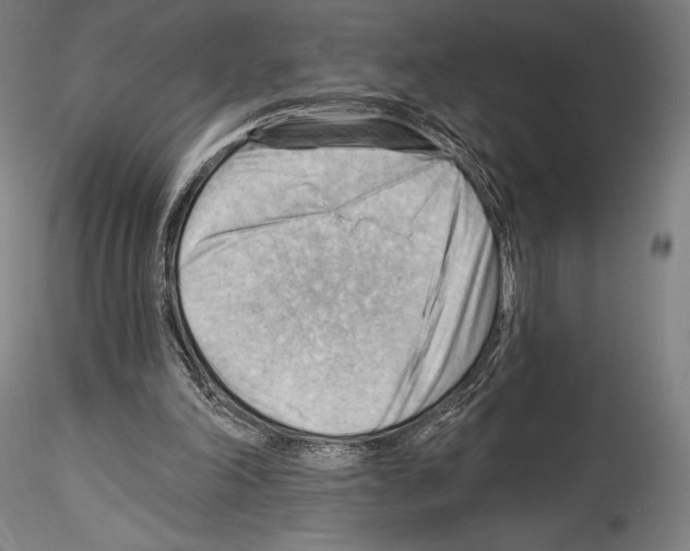 X0000114530198200911301146