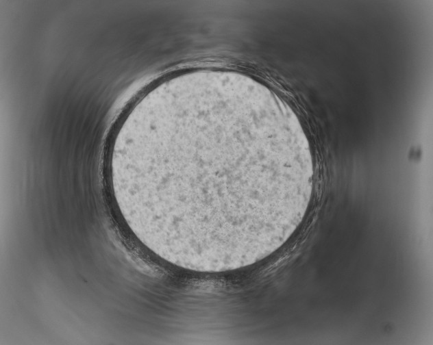 X0000114530200200911301146