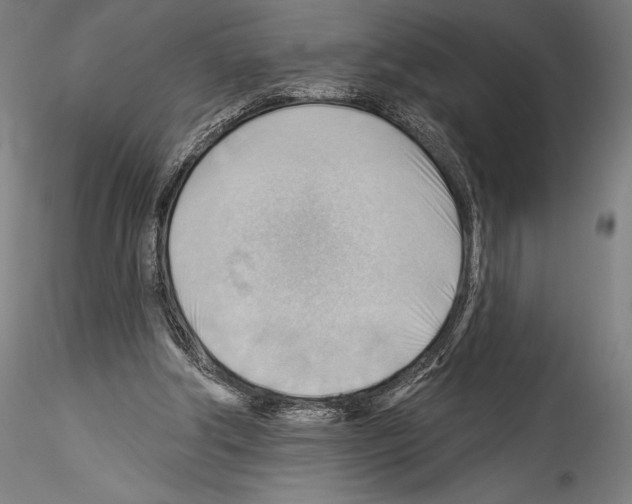 X0000114530202200911301146