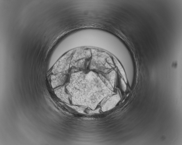 X0000114530203200911301146