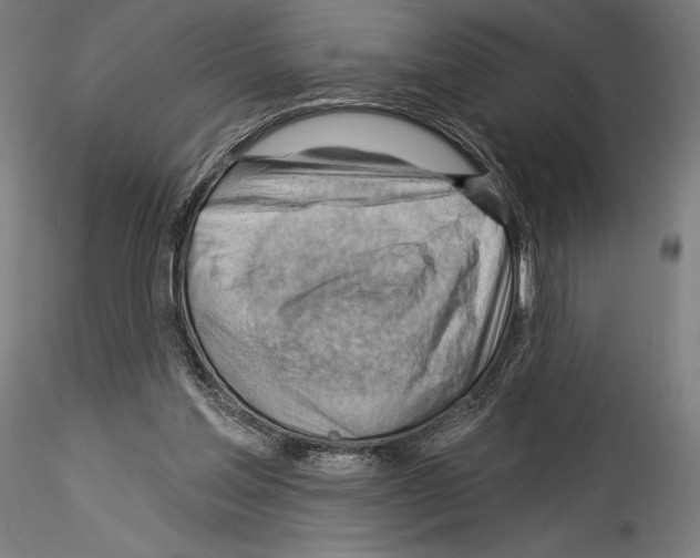 X0000114530205200911301146