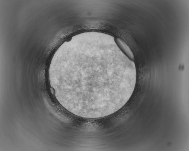 X0000114530207200911301146