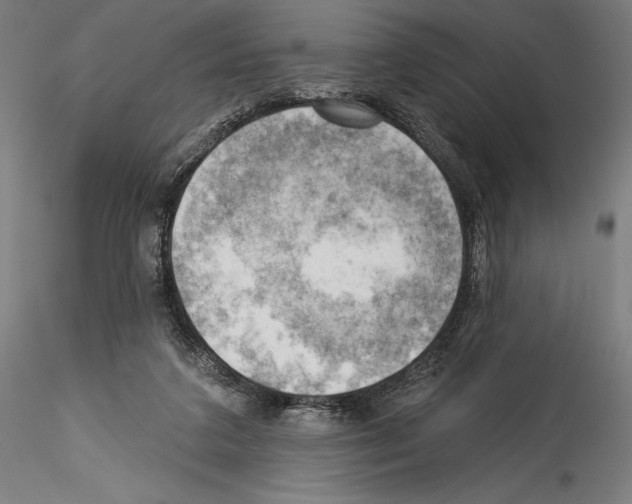 X0000114530211200911301146