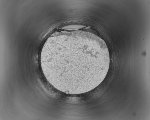 X0000114530212200911301146