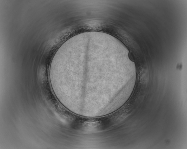 X0000114530213200911301146