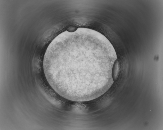 X0000114530215200911301146