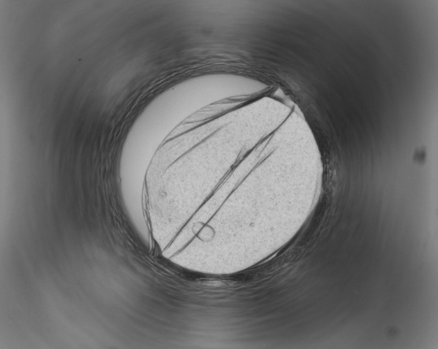 X0000114530221200911301146