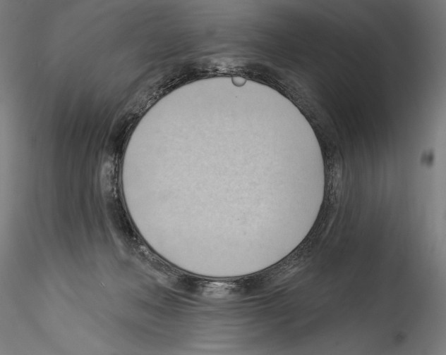 X0000114530222200911301146