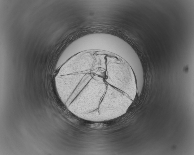 X0000114530225200911301146