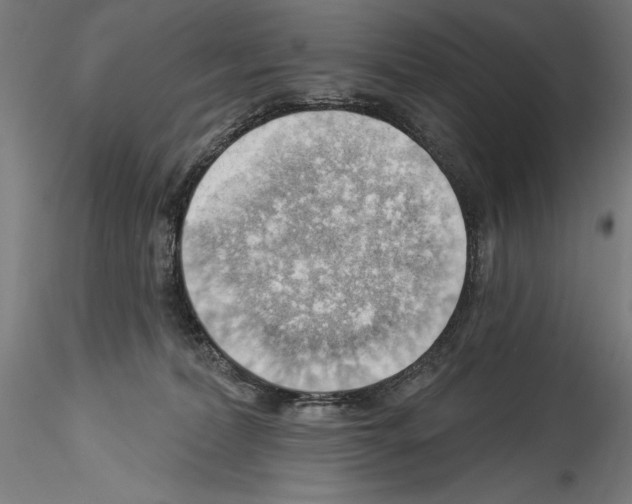 X0000114530228200911301146