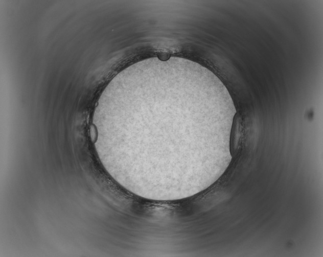 X0000114530229200911301146