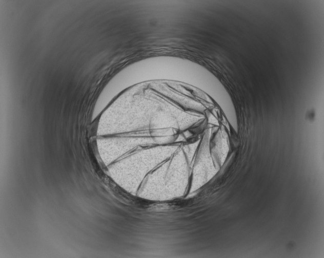 X0000114530231200911301146