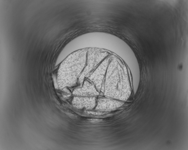 X0000114530233200911301146