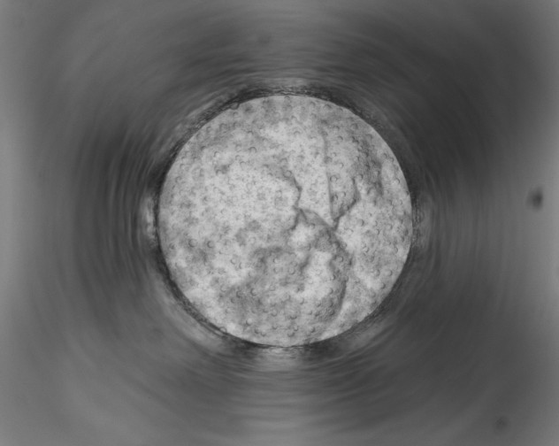 X0000114530238200911301145