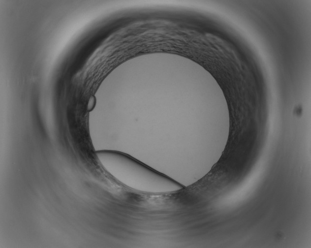 X0000114530239200911301145