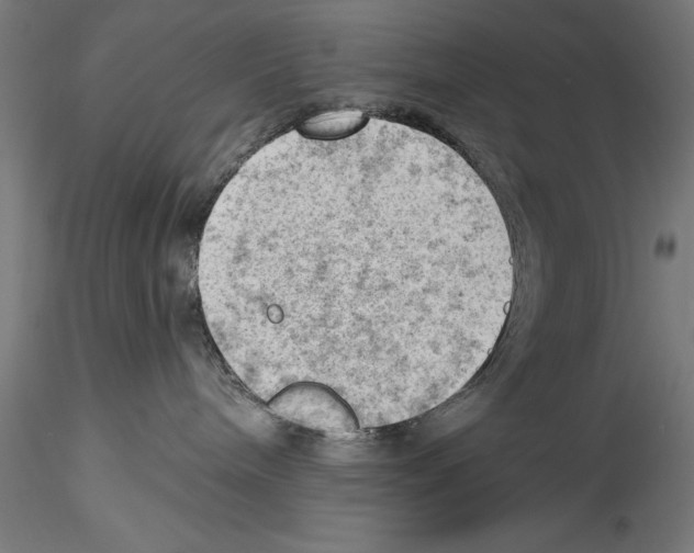 X0000114530240200911301145