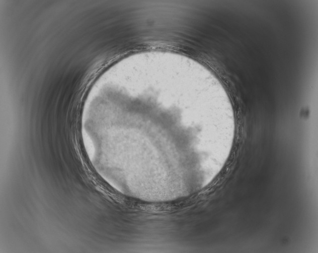 X0000114530241200911301145