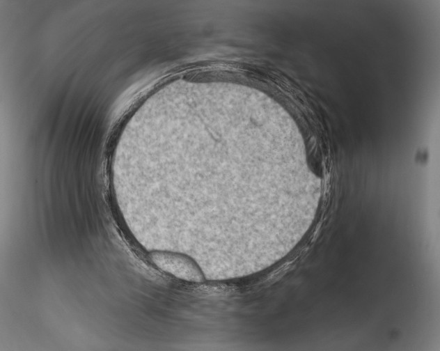 X0000114530245200911301145