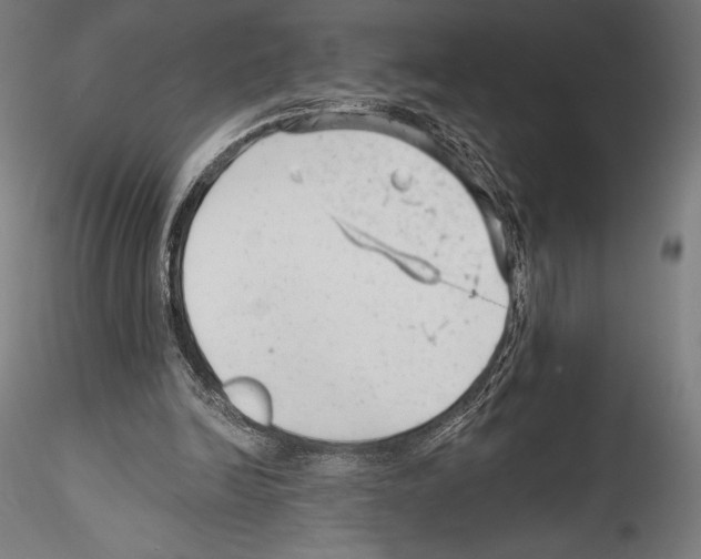 X0000114530246200911301145