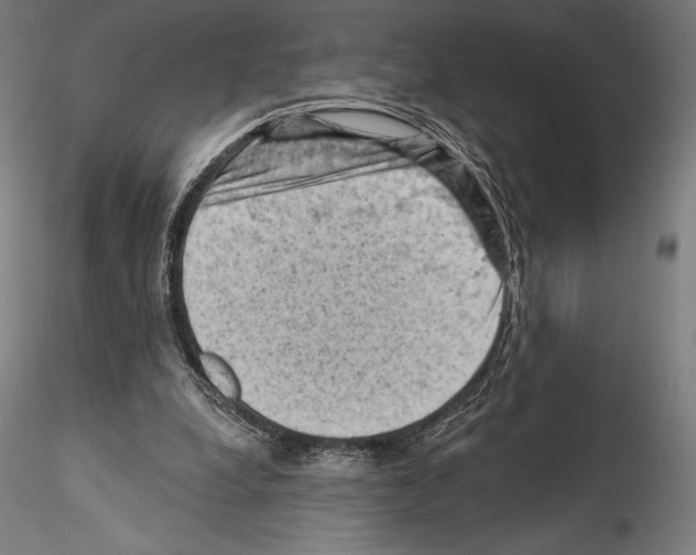 X0000114530248200911301145