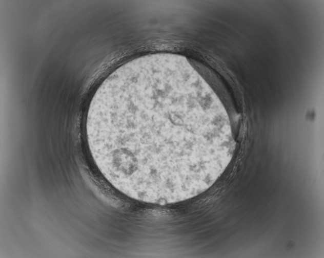 X0000114530250200911301145