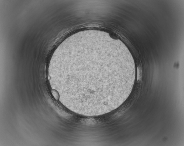 X0000114530253200911301145