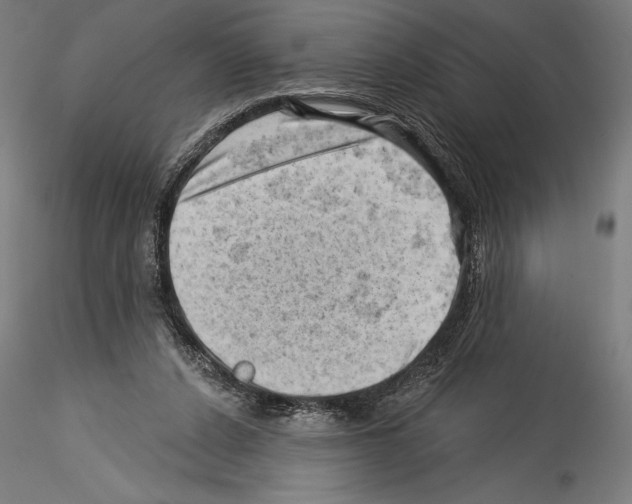 X0000114530256200911301145