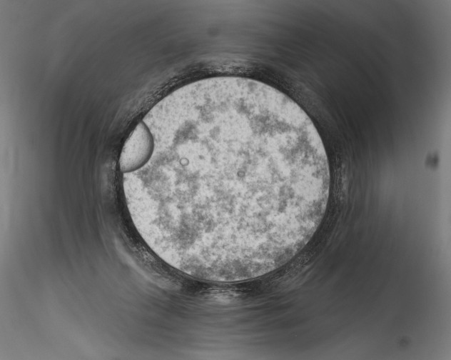 X0000114530263200911301145