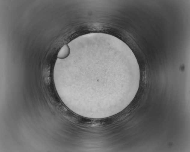 X0000114530267200911301145