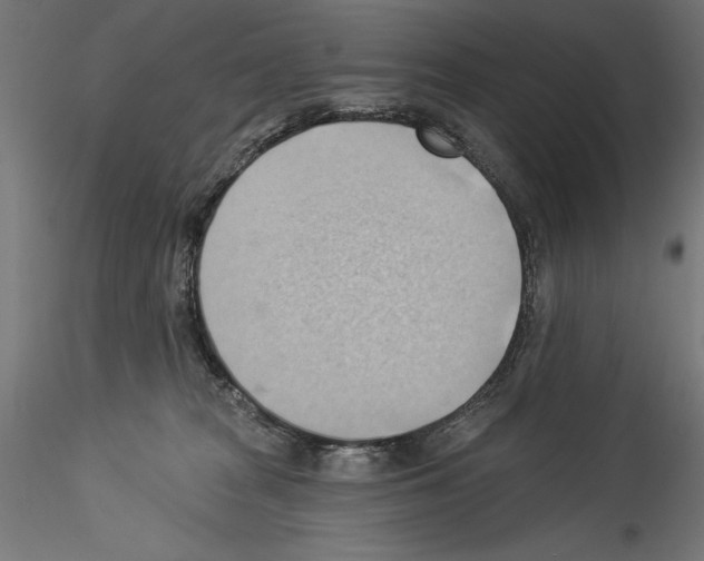 X0000114530277200911301145