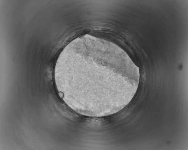 X0000114530282200911301145